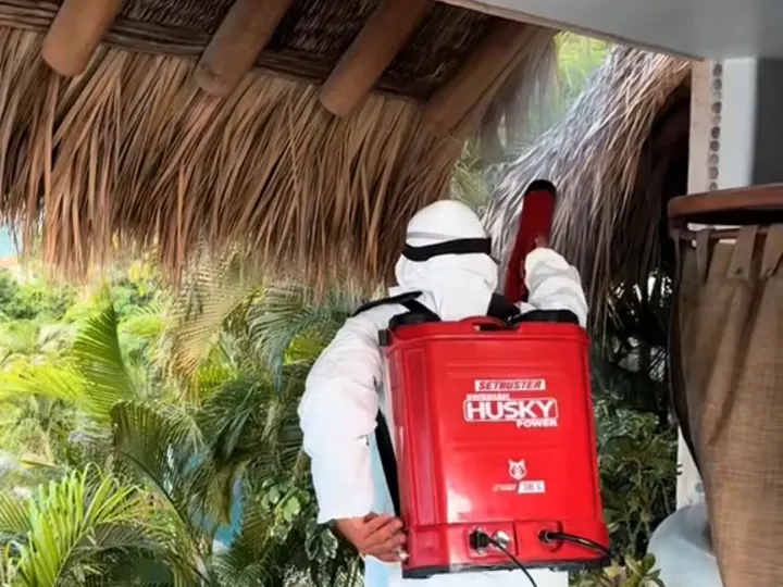 Técnico de Clean Control con traje blanco y bomba roja fumigando bajo un techo de palapa